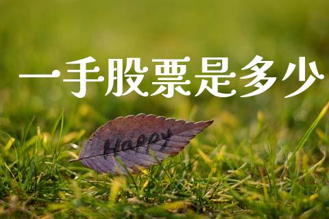 一手股票是多少_https://m.jnkyh.com_国际原油_第1张