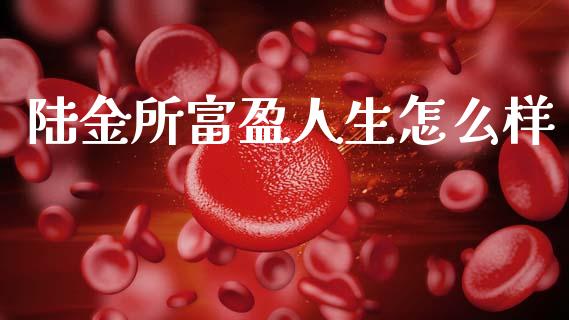 陆金所富盈人生怎么样_https://m.jnkyh.com_股票交易_第1张