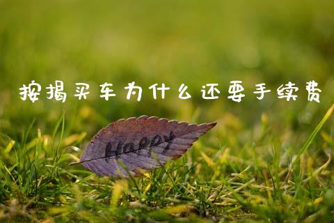 按揭买车为什么还要手续费_https://m.jnkyh.com_国际原油_第1张