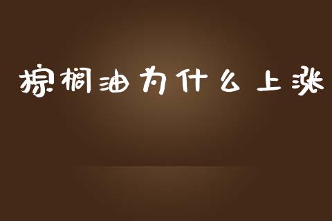 棕榈油为什么上涨_https://m.jnkyh.com_股指期货_第1张
