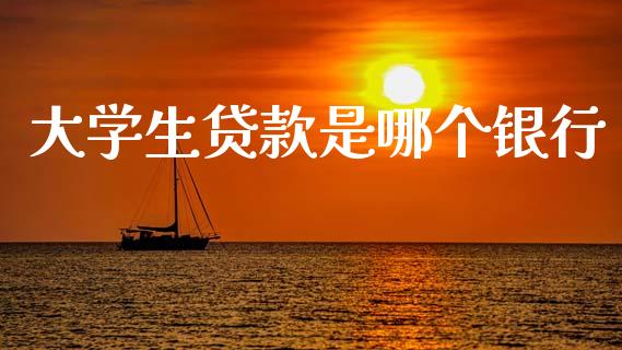 大学生贷款是哪个银行_https://m.jnkyh.com_期货开户条件_第1张