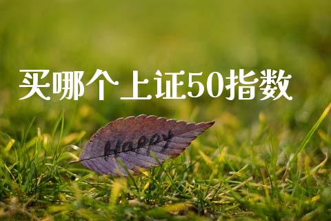 买哪个上证50指数_https://m.jnkyh.com_国际原油_第1张
