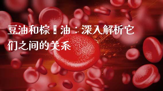 豆油和棕榈油：深入解析它们之间的关系_https://m.jnkyh.com_国际原油_第1张