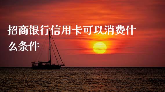 招商银行信用卡可以消费什么条件_https://m.jnkyh.com_股票交易_第1张