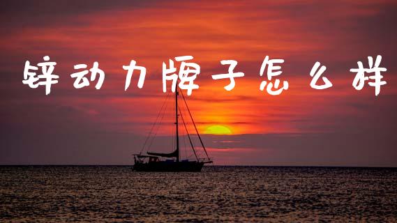 锌动力牌子怎么样_https://m.jnkyh.com_期货开户条件_第1张