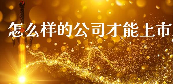 怎么样的公司才能上市_https://m.jnkyh.com_期货开户条件_第1张