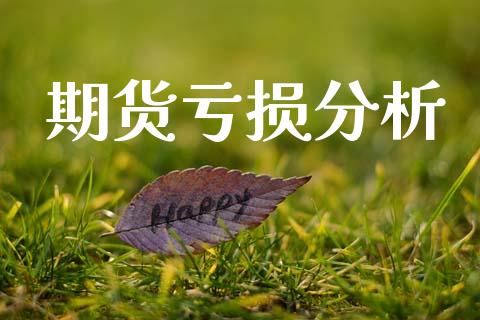 期货亏损分析_https://m.jnkyh.com_期货开户条件_第1张