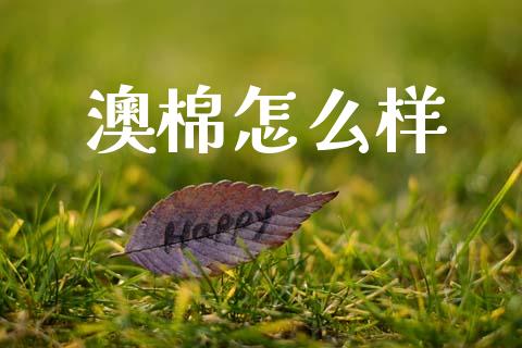 澳棉怎么样_https://m.jnkyh.com_期货开户条件_第1张