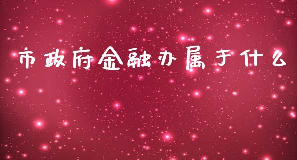 市政府金融办属于什么_https://m.jnkyh.com_国际原油_第1张