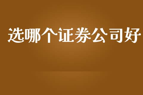 选哪个证券公司好_https://m.jnkyh.com_股票交易_第1张