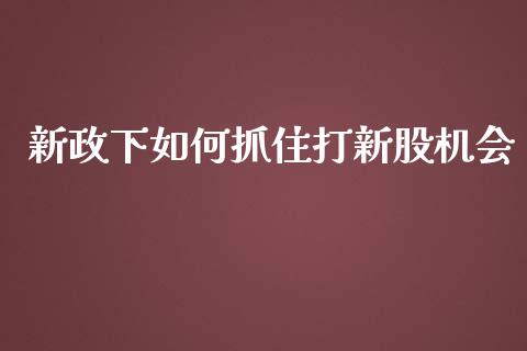 新政下如何抓住打新股机会_https://m.jnkyh.com_期货开户条件_第1张