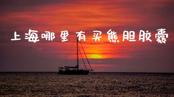 上海哪里有买熊胆胶囊_https://m.jnkyh.com_期货开户条件_第1张