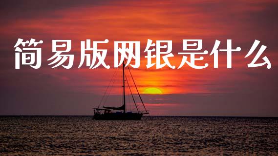 简易版网银是什么_https://m.jnkyh.com_期货开户条件_第1张