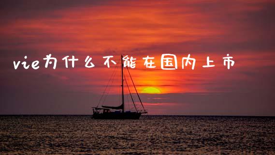 vie为什么不能在国内上市_https://m.jnkyh.com_国际原油_第1张