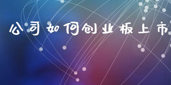 公司如何创业板上市_https://m.jnkyh.com_股指期货_第1张