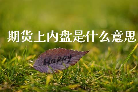期货上内盘是什么意思_https://m.jnkyh.com_股票交易_第1张