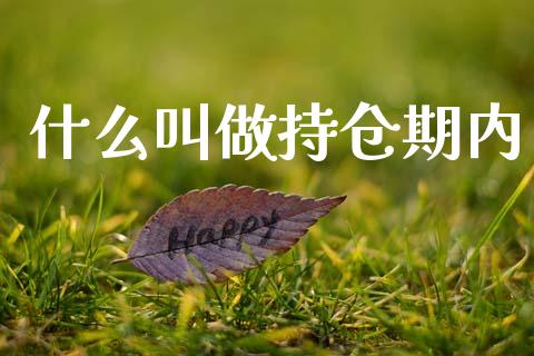 什么叫做持仓期内_https://m.jnkyh.com_国际原油_第1张