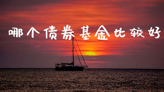 哪个债券基金比较好_https://m.jnkyh.com_国际原油_第1张