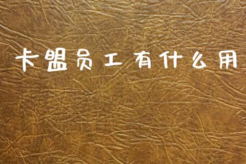 卡盟员工有什么用_https://m.jnkyh.com_股票交易_第1张