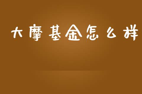 大摩基金怎么样_https://m.jnkyh.com_股指期货_第1张
