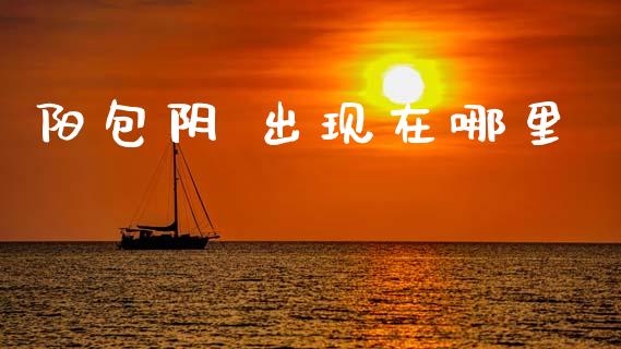 阳包阴 出现在哪里_https://m.jnkyh.com_股指期货_第1张