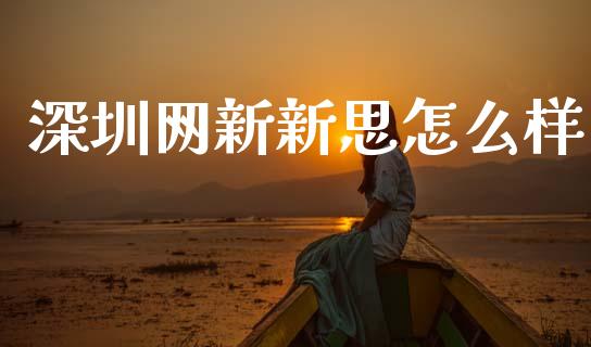 深圳网新新思怎么样_https://m.jnkyh.com_股票交易_第1张