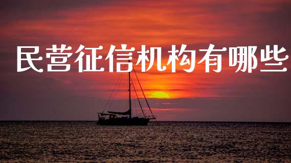 民营征信机构有哪些_https://m.jnkyh.com_股票交易_第1张