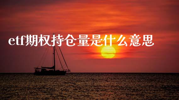 etf期权持仓量是什么意思_https://m.jnkyh.com_股指期货_第1张