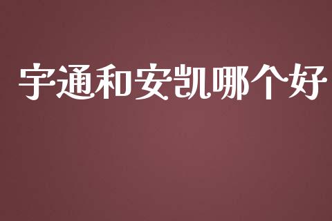 宇通和安凯哪个好_https://m.jnkyh.com_股票交易_第1张
