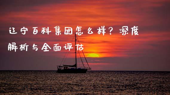 辽宁百科集团怎么样？深度解析与全面评估_https://m.jnkyh.com_期货开户条件_第1张