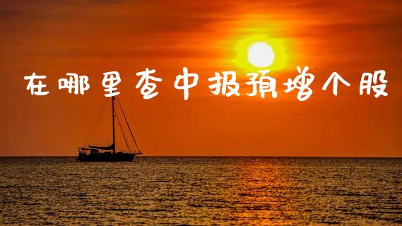 在哪里查中报预增个股_https://m.jnkyh.com_股票交易_第1张