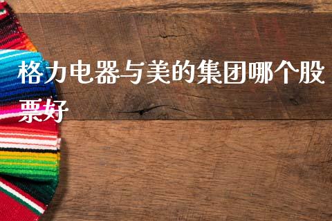 格力电器与美的集团哪个股票好_https://m.jnkyh.com_期货开户条件_第1张