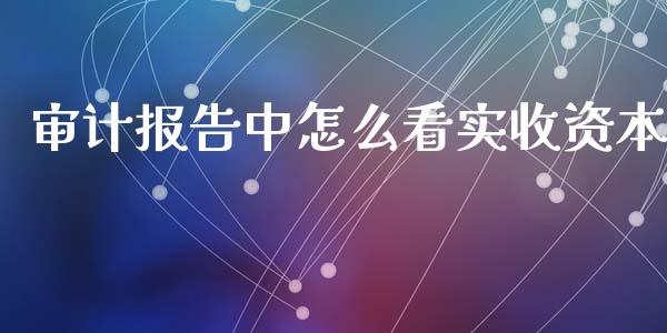 审计报告中怎么看实收资本_https://m.jnkyh.com_股票交易_第1张