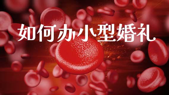 如何办小型婚礼_https://m.jnkyh.com_期货开户条件_第1张