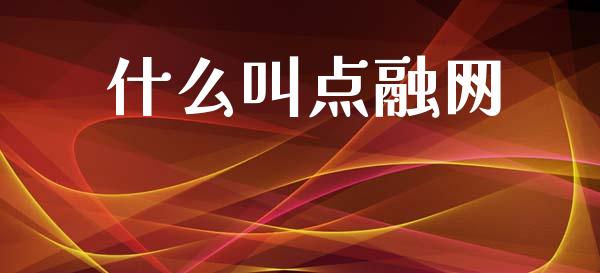什么叫点融网_https://m.jnkyh.com_期货开户条件_第1张