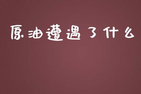 原油遭遇了什么_https://m.jnkyh.com_国际原油_第1张