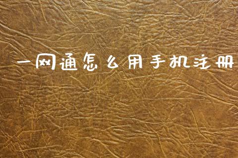 一网通怎么用手机注册_https://m.jnkyh.com_股指期货_第1张