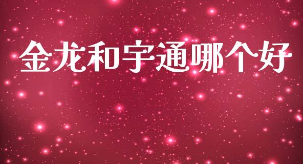 金龙和宇通哪个好_期货开户条件_第1张_股指期货_期货开户条件_国际原油_股票交易 金龙和宇通哪个好_https://m.jnkyh.com_期货开户条件_第1张