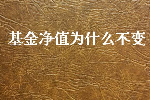 基金净值为什么不变_https://m.jnkyh.com_期货开户条件_第1张