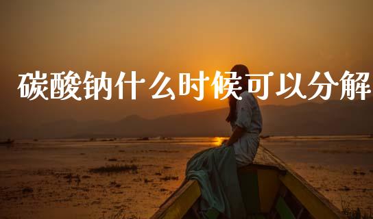 碳酸钠什么时候可以分解_https://m.jnkyh.com_股票交易_第1张