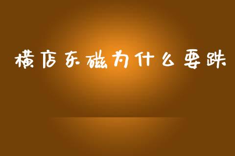 横店东磁为什么要跌_https://m.jnkyh.com_期货开户条件_第1张