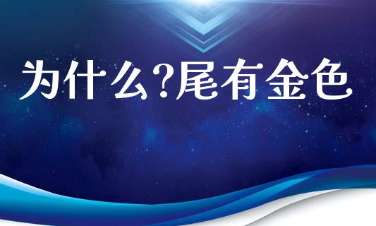 为什么?尾有金色_https://m.jnkyh.com_国际原油_第1张