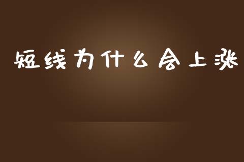 短线为什么会上涨_https://m.jnkyh.com_期货开户条件_第1张