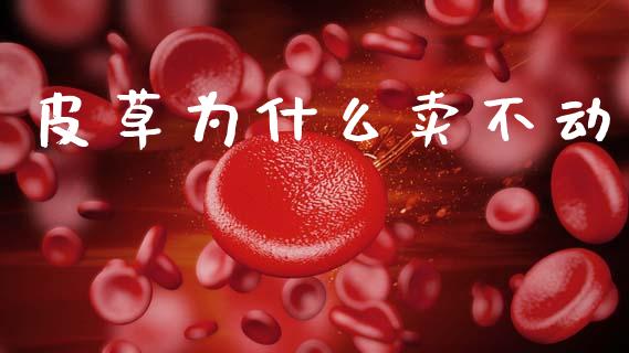 皮草为什么卖不动_https://m.jnkyh.com_期货开户条件_第1张