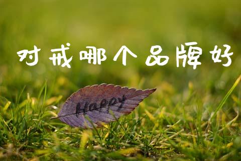 对戒哪个品牌好_https://m.jnkyh.com_股票交易_第1张