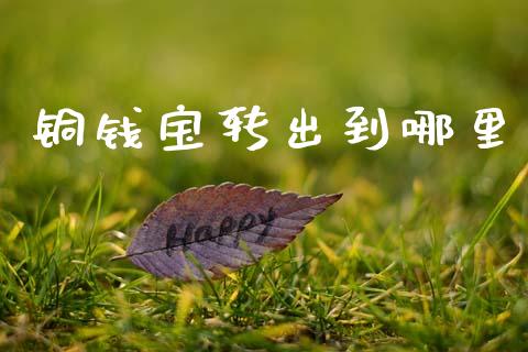 铜钱宝转出到哪里_https://m.jnkyh.com_国际原油_第1张