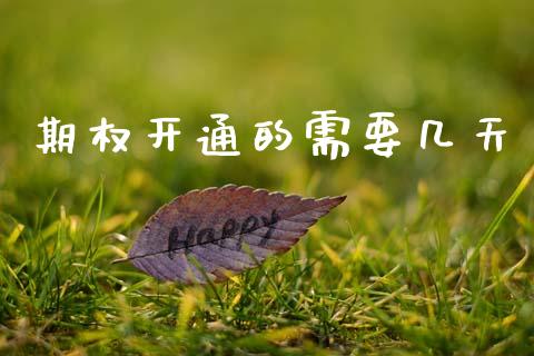 期权开通的需要几天_https://m.jnkyh.com_期货开户条件_第1张