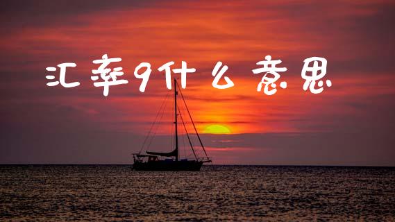 汇率9什么意思_https://m.jnkyh.com_期货开户条件_第1张