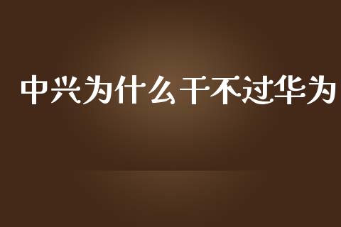 中兴为什么干不过华为_https://m.jnkyh.com_期货开户条件_第1张