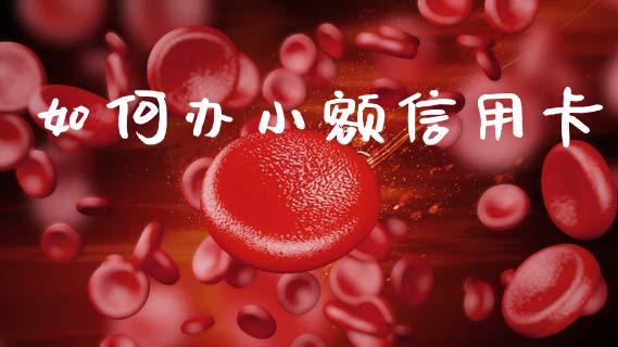 如何办小额信用卡_https://m.jnkyh.com_股票交易_第1张